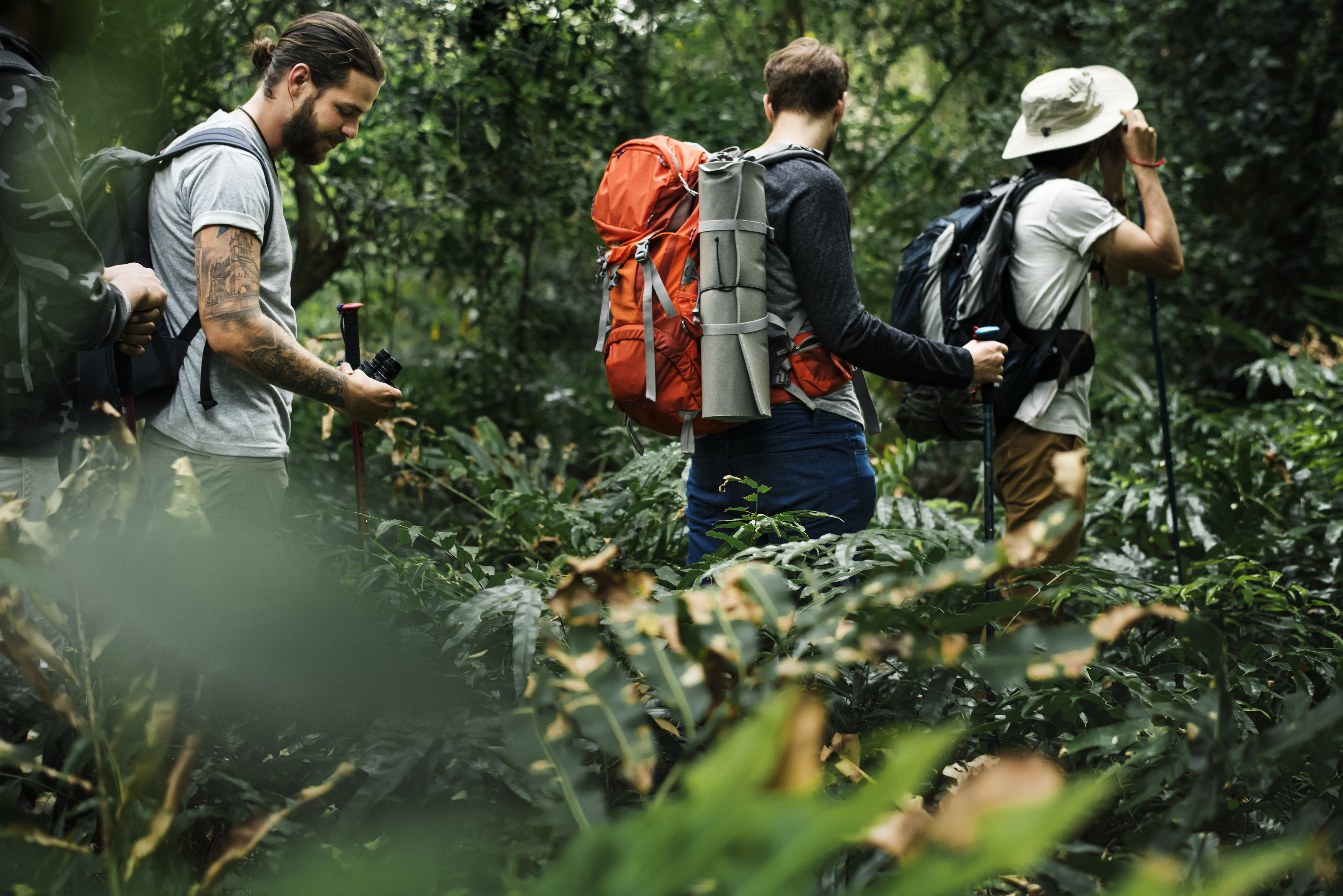 Forest Trail interior scene